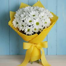 Букет цветов из:  Хризантемы в Новой Пролетарке