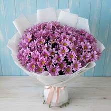 Букет цветов из:  Хризантемы в Новой Пролетарке