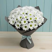 Букет цветов из:  Хризантемы в Новой Пролетарке