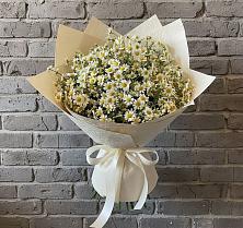 Букет цветов из:  Ромашки #REPLACE_PRED# Новой Пролетарке