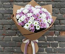 Букет цветов из:  Хризантемы #REPLACE_PRED# Новой Пролетарке