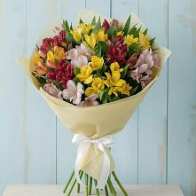 Букет цветов из:  Альстромерии #REPLACE_PRED# Новой Пролетарке