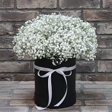 Цветочная композиция из Гипсофила в шляпной коробке в Новой Пролетарке