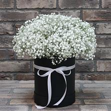 Цветочная композиция из Гипсофила в шляпной коробке в Новой Пролетарке