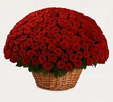 Премиум букет из: Розы в Новой Пролетарке